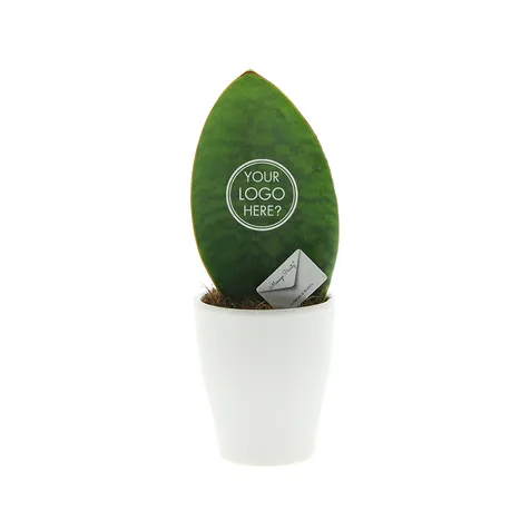 Message Printz® - Baby leaf in giftbox